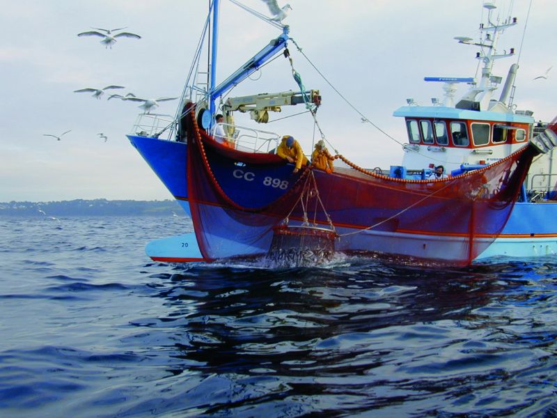 De l'« Open Sea » à la reprise en main : quelle régulation pour un secteur stratégique ?