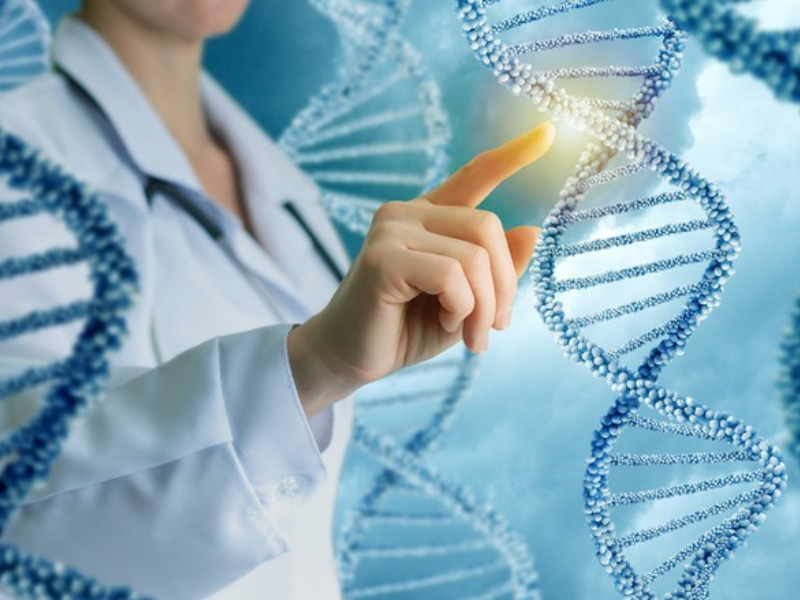 Médecine prédictive : l’IA peut-elle deviner nos maladies avant nous ?