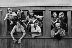 La Marche verte au féminin ! La Marche verte au féminin !