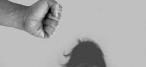 Les Normes patriarcales : Un facteur qui favorise qui favorise les violences conjugales Les Normes patriarcales : Un facteur qui favorise qui favorise les violences conjugales