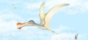 3 nouvelles espèces de ptérosaures à dents découvertes au Maroc 