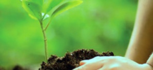 Midelt : une initiative pour accompagner les jeunes dans le domaine de l'entreprenariat vert Midelt : une initiative pour accompagner les jeunes dans le domaine de l'entreprenariat vert