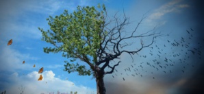 Une étude pour le financement du plan d'investissement climat du Sahel est en vue pour les prochaines semaines Une étude pour le financement du plan d'investissement climat du Sahel est en vue pour les prochaines semaines