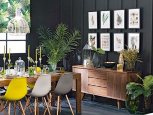 Rafraîchissez votre espace avec des plantes résistantes ! Rafraîchissez votre espace avec des plantes résistantes !