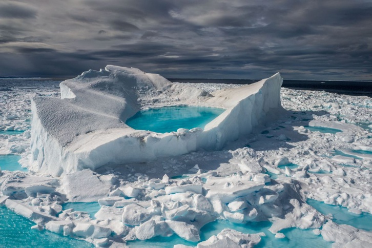 Arctique : La «dernière zone de glace » pourrait disparaître Arctique : La «dernière zone de glace » pourrait disparaître