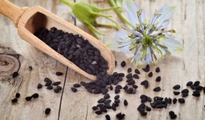 Miel et nigelle contre le ou la Covid 19 ! Miel et nigelle contre le ou la Covid 19 !