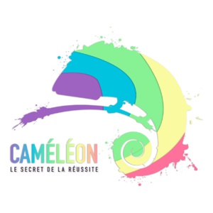 CAMELEON Maroc pour la collecte des données de marché CAMELEON Maroc pour la collecte des données de marché