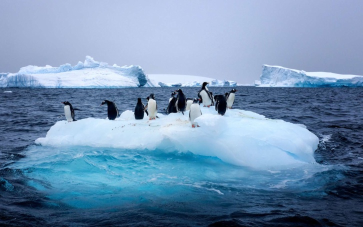 La fonte des glaces s'est fortement accélérée en 30 ans La fonte des glaces s'est fortement accélérée en 30 ans