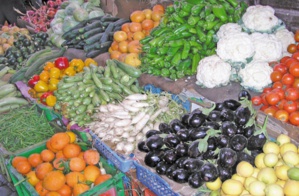 Accès direct des fruits et légumes marocains vers l'Europe de l'Est 