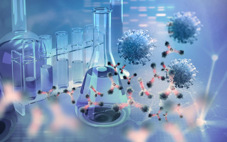 Covid-19 : Le candidat médicament XAV-19 est efficace contre les variants Covid-19 : Le candidat médicament XAV-19 est efficace contre les variants