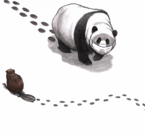 Les limiers de l’OMS sur les traces du complice du Sras Les limiers de l’OMS sur les traces du complice du Sras