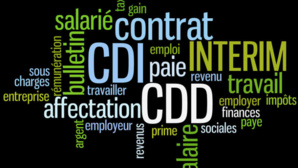 Le HCP dresse le portrait des actifs occupés Le HCP dresse le portrait des actifs occupés