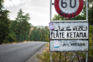 Le projet de loi sur la légalisation de l'usage légal du cannabis Le projet de loi sur la légalisation de l'usage légal du cannabis