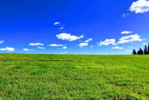 Connaissez-vous l'origine du fonds d'écran le plus regardé dans le monde ? Connaissez-vous l'origine du fonds d'écran le plus regardé dans le monde ?