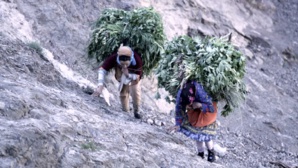 Le CESE plaide en termes d’égalité des sexes Le CESE plaide en termes d’égalité des sexes