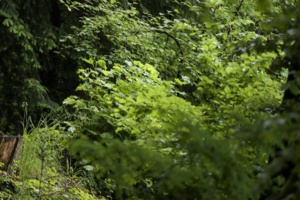 Campagne agricole : De bons signes en perspective Campagne agricole : De bons signes en perspective