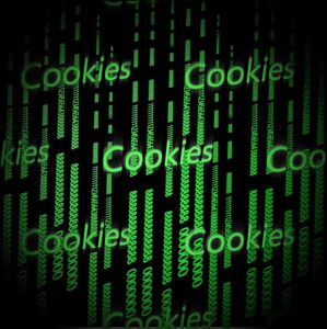 Vous êtes trackés sur le Net par des super cookies !