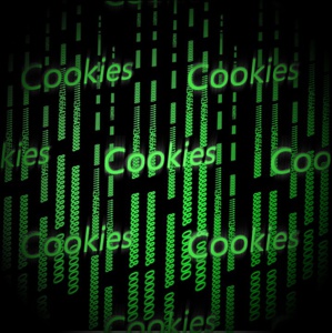 Vous êtes trackés sur le Net par des super cookies ! Vous êtes trackés sur le Net par des super cookies !