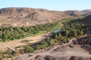 L’oasis, ma mère… L’oasis, ma mère…