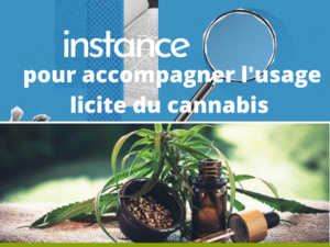 Une instance pour accompagner les usages licites du cannabis Une instance pour accompagner les usages licites du cannabis