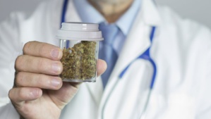 Fès: L’USMBA et Laprophan s’associent dans la recherche sur le cannabis médical Fès: L’USMBA et Laprophan s’associent dans la recherche sur le cannabis médical