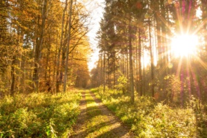 Découverte : un fluide qui conserverait l’énergie solaire 20 ans ! Découverte : un fluide qui conserverait l’énergie solaire 20 ans !