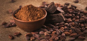 La poudre de cacao nous aide à maigrir ! La poudre de cacao nous aide à maigrir !