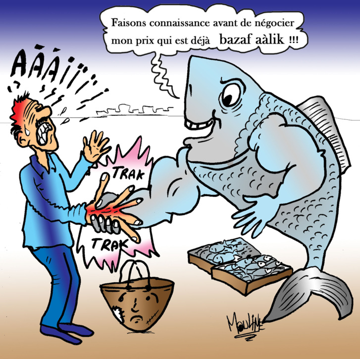 Sardine, Oh ma sardine ! Sardine, Oh ma sardine !