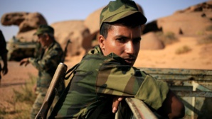 Mercenaire polisarien : "Si vous voulez vous battre allez-y, moi je reste ici !" Mercenaire polisarien : "Si vous voulez vous battre allez-y, moi je reste ici !"