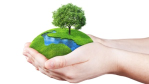 "Nous devons restaurer notre planète" - C'est la journée internationale de la terre