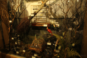 Tout l’univers d’Harry Potter dans un magasin à NewYork Tout l’univers d’Harry Potter dans un magasin à NewYork