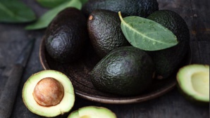 L’israélien Mehadrin va cultiver de l’avocat au Maroc L’israélien Mehadrin va cultiver de l’avocat au Maroc