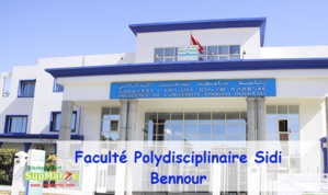 L'intégration du secteur informel dans la transformation digitale au Maroc L'intégration du secteur informel dans la transformation digitale au Maroc