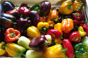 Des légumes marocains retirés des marchés à l’étranger, faute aux résidus de pesticides Des légumes marocains retirés des marchés à l’étranger, faute aux résidus de pesticides