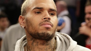 La police interrompe une immense fête de Chris Brown La police interrompe une immense fête de Chris Brown