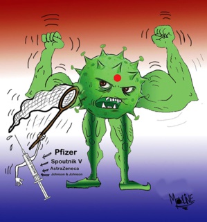 Le variant indien est désormais classé comme "préoccupant" par l'OMS Le variant indien est désormais classé comme "préoccupant" par l'OMS