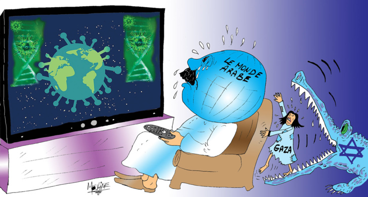 Sauver Gaza aussi ! Sauver Gaza aussi !