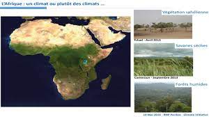 Sommet virtuel sur l’investissement dans la résilience climatique en Afrique
