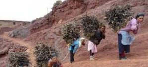 Lutte contre les changements climatiques : le Maroc vraiment champion !?