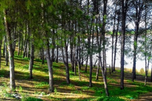 Journée mondiale de l’environnement : protégeons nos ecosystèmes! Journée mondiale de l’environnement : protégeons nos ecosystèmes!