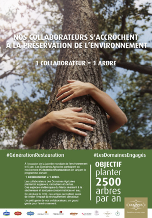 Les Domaines Agricoles : Plantation de 2500 arbres en un an Les Domaines Agricoles : Plantation de 2500 arbres en un an