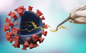 Gain de fonction, la 'science' qui rend les virus plus 'agressifs'