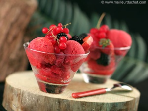 Recette rafraichissante : Sorbet au fruits rouges Recette rafraichissante : Sorbet au fruits rouges
