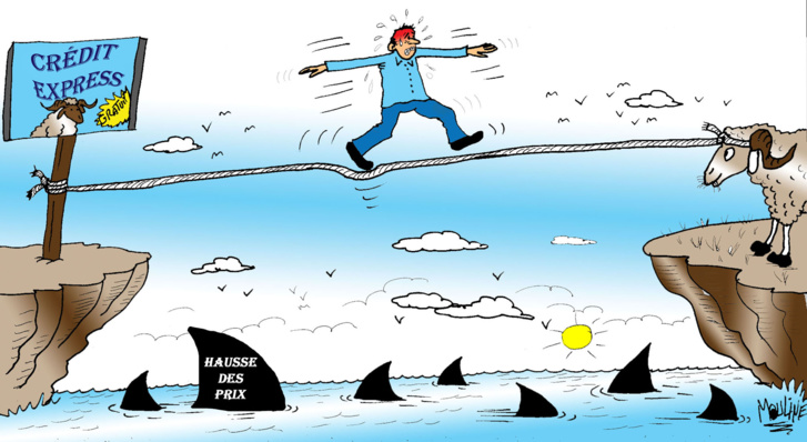 Mon « cher » mouton…!!! Mon « cher » mouton…!!!