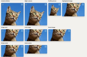 Redimensionnez en un clic vos images grâce à cet outil Redimensionnez en un clic vos images grâce à cet outil