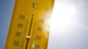 Des records absolus de températures maximales ont été battus Des records absolus de températures maximales ont été battus