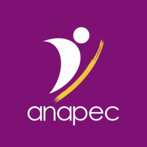 Les contrats d’insertion professionnelle (ANAPEC) : duperie ou opportunité ?