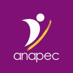 Les contrats d’insertion professionnelle (ANAPEC) : duperie ou opportunité ? Les contrats d’insertion professionnelle (ANAPEC) : duperie ou opportunité ?