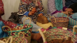 Soutien à la coopérative Marjana, le Bureau Veritas sur les railles Soutien à la coopérative Marjana, le Bureau Veritas sur les railles