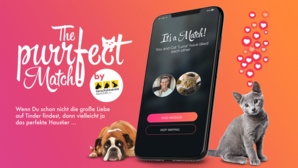 Un refuge allemand lance une plateforme d'adoption pour chats et chiens Un refuge allemand lance une plateforme d'adoption pour chats et chiens